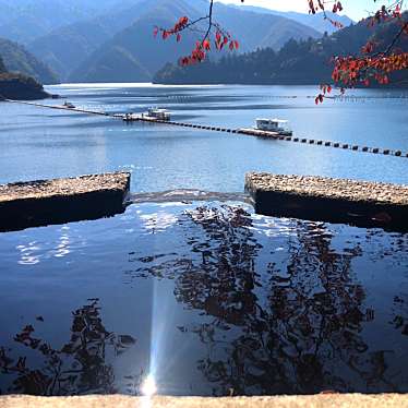 実際訪問したユーザーが直接撮影して投稿した原湖沼 / 池奥多摩湖の写真