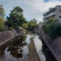 実際訪問したユーザーが直接撮影して投稿した宮西町公園夙川河川敷緑地の写真