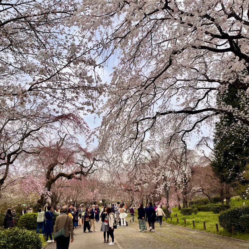 実際訪問したユーザーが直接撮影して投稿した深大寺元町公園神代植物公園 芝生広場の写真