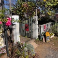 実際訪問したユーザーが直接撮影して投稿した日野本町カフェClare Home & Gardenの写真
