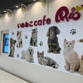 実際訪問したユーザーが直接撮影して投稿したりんくう町カフェpuppy cafe Rio 常滑店の写真