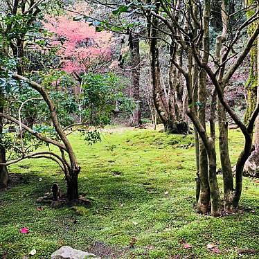 実際訪問したユーザーが直接撮影して投稿した那谷町寺那谷寺の写真