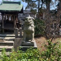 実際訪問したユーザーが直接撮影して投稿した栄町神社大港神社の写真