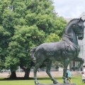 実際訪問したユーザーが直接撮影して投稿した綿貫町公園群馬県立都市公園 群馬の森の写真