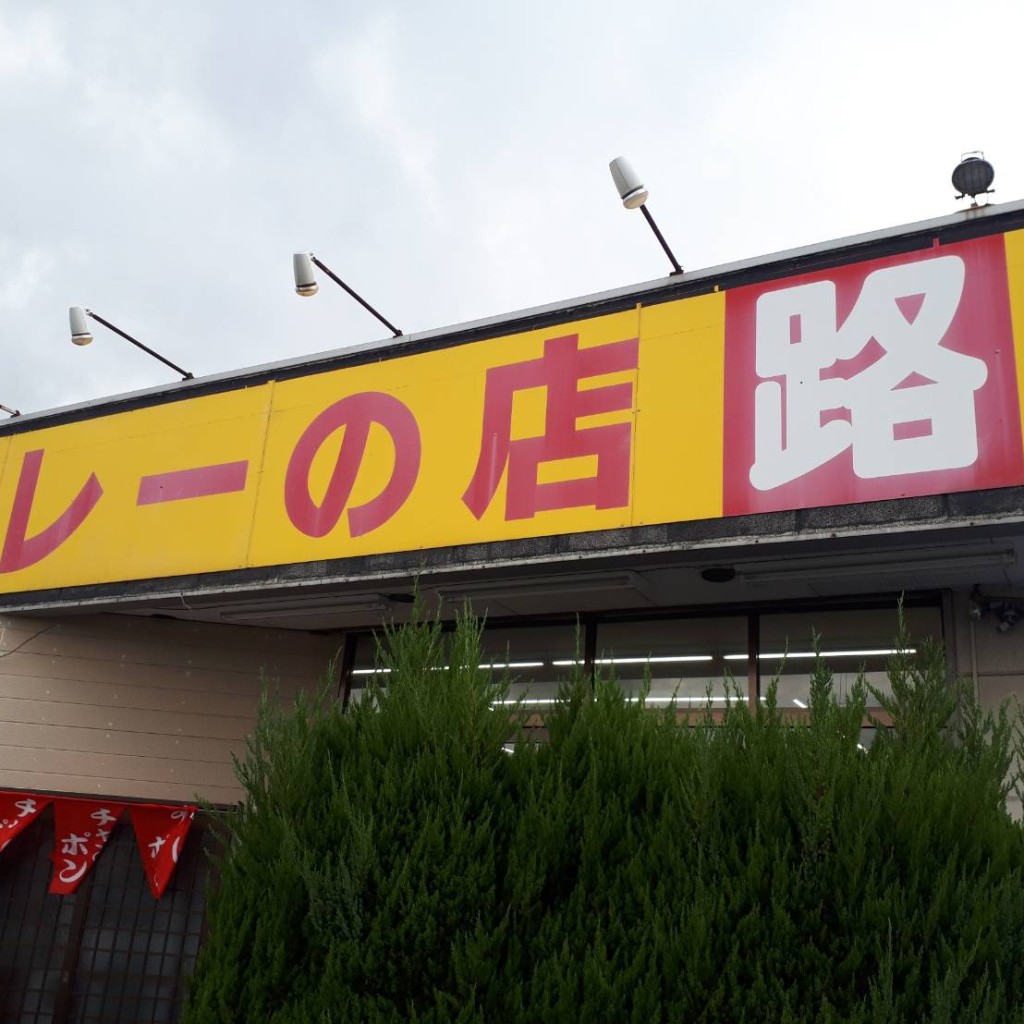 実際訪問したユーザーが直接撮影して投稿した野坂カレーカレーの店 路の写真