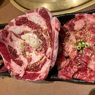 実際訪問したユーザーが直接撮影して投稿した片瀬ホルモン炭火焼肉 ざんまい 江ノ島店の写真