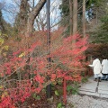 実際訪問したユーザーが直接撮影して投稿した萩尾寺呑山観音寺の写真