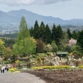 実際訪問したユーザーが直接撮影して投稿した蒜山西茅部植物園 / 樹木園蒜山ハーブガーデン ハービルの写真