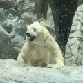 実際訪問したユーザーが直接撮影して投稿した戸賀塩浜水族館 / アクアリウム男鹿水族館GAOの写真