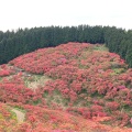 実際訪問したユーザーが直接撮影して投稿した櫛羅山 / 峠葛城山の写真