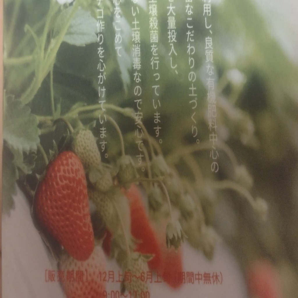 実際訪問したユーザーが直接撮影して投稿した八島町スイーツ金井いちご園  高崎OPA店の写真