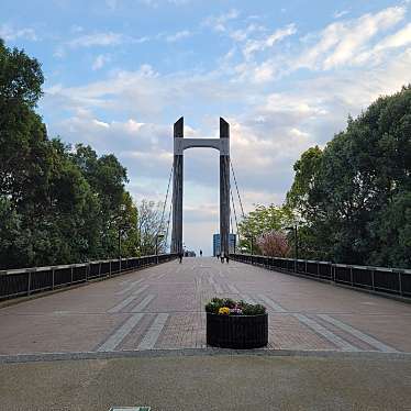 実際訪問したユーザーが直接撮影して投稿した木場橋木場公園大橋の写真