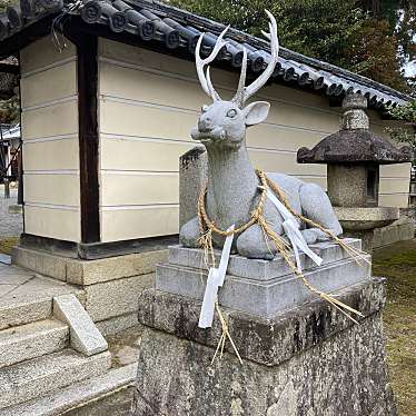 sarafinaさんが投稿した草津神社のお店立木神社/タチキジンジャの写真