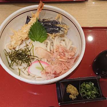 実際訪問したユーザーが直接撮影して投稿した御影中町うどん杵屋 神戸御影クラッセ店の写真