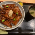 豚丼 (並) - 実際訪問したユーザーが直接撮影して投稿した大通南丼もの豚丼のはなとかちの写真のメニュー情報