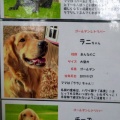 実際訪問したユーザーが直接撮影して投稿した富士見町石井ペット関連サービス世界の名犬牧場の写真