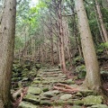 実際訪問したユーザーが直接撮影して投稿した木本町山 / 峠松本峠の写真