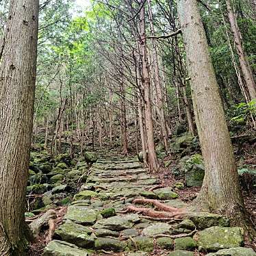 実際訪問したユーザーが直接撮影して投稿した木本町山 / 峠松本峠の写真