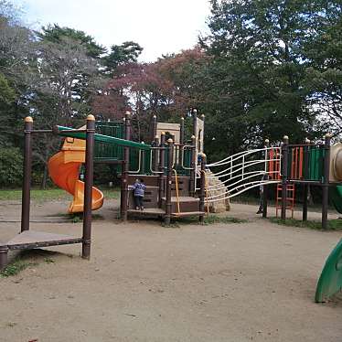 実際訪問したユーザーが直接撮影して投稿した手倉田公園十三塚公園の写真