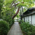 実際訪問したユーザーが直接撮影して投稿した花園妙心寺町寺退蔵院の写真