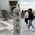 実際訪問したユーザーが直接撮影して投稿した浅草公園隅田公園の写真