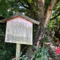 実際訪問したユーザーが直接撮影して投稿した鷹峯光悦町寺光悦寺の写真