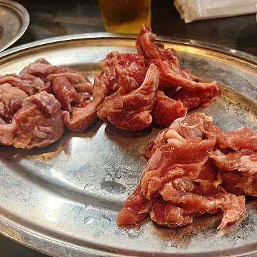 sallymさんが投稿した下町肉料理のお店炭や/スミヤの写真