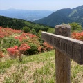 実際訪問したユーザーが直接撮影して投稿した櫛羅山 / 峠葛城山の写真