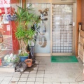 実際訪問したユーザーが直接撮影して投稿した大手町喫茶店どんぐりの写真