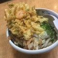 かき揚げうどん - 実際訪問したユーザーが直接撮影して投稿した東石井そば本場手打うどん 福楽の写真のメニュー情報