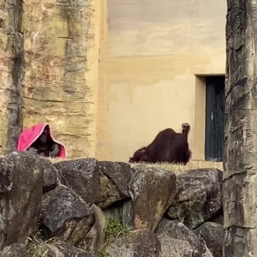 多摩動物公園駅のundefinedに実際訪問訪問したユーザーunknownさんが新しく投稿した新着口コミの写真