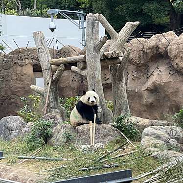 上野動物園 パンダのもりのundefinedに実際訪問訪問したユーザーunknownさんが新しく投稿した新着口コミの写真