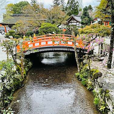 実際訪問したユーザーが直接撮影して投稿した上賀茂本山神社上賀茂神社の写真