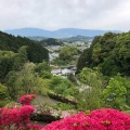 実際訪問したユーザーが直接撮影して投稿した岡寺岡寺の写真