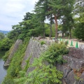 実際訪問したユーザーが直接撮影して投稿した上野丸之内歴史 / 遺跡伊賀上野城 高石垣の写真