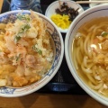 かき揚丼セットうどん - 実際訪問したユーザーが直接撮影して投稿した枝国うどんウエスト うどん飯塚店の写真のメニュー情報