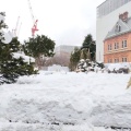 実際訪問したユーザーが直接撮影して投稿した北三条西地域名所道庁赤れんが庁舎 前庭の写真