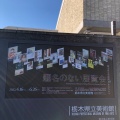 実際訪問したユーザーが直接撮影して投稿した桜美術館 / ギャラリー・画廊栃木県立美術館の写真
