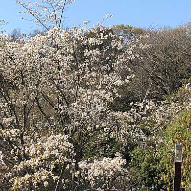 実際訪問したユーザーが直接撮影して投稿した福井公園三木山森林公園 森の文化館の写真