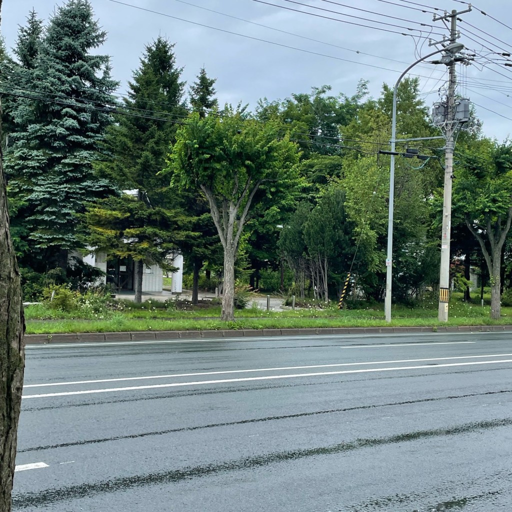 実際訪問したユーザーが直接撮影して投稿した大曲公園三眺河畔公園の写真