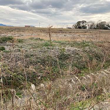 実際訪問したユーザーが直接撮影して投稿した土器町西公園土器川河川敷緑地の写真