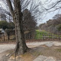 実際訪問したユーザーが直接撮影して投稿した三の丸公園名城公園の写真