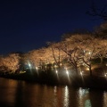 実際訪問したユーザーが直接撮影して投稿した中央町公園大池公園の写真