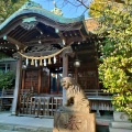 実際訪問したユーザーが直接撮影して投稿した木月神社住吉神社の写真