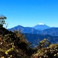 実際訪問したユーザーが直接撮影して投稿した高尾町山 / 峠高尾山の写真