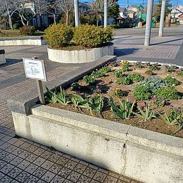 実際訪問したユーザーが直接撮影して投稿した染井野公園みずき公園の写真