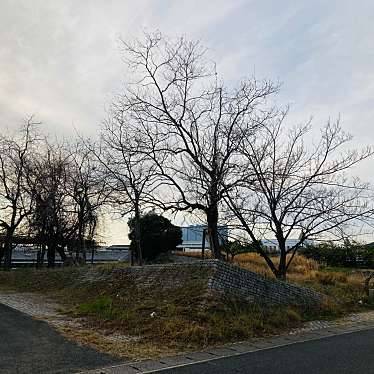 実際訪問したユーザーが直接撮影して投稿した林田町公園林田与北緑地の写真