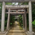 実際訪問したユーザーが直接撮影して投稿した弁天神社厳島神社の写真