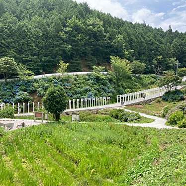 実際訪問したユーザーが直接撮影して投稿した法曽寺済渡寺の写真