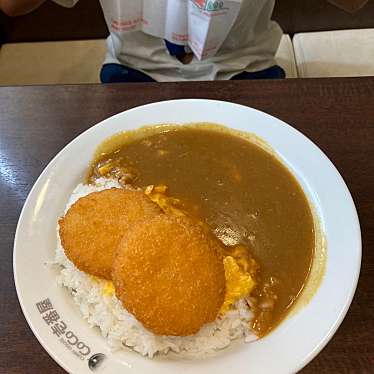 実際訪問したユーザーが直接撮影して投稿した我孫子カレーカレーハウスCoCo壱番屋 泉大津我孫子店の写真